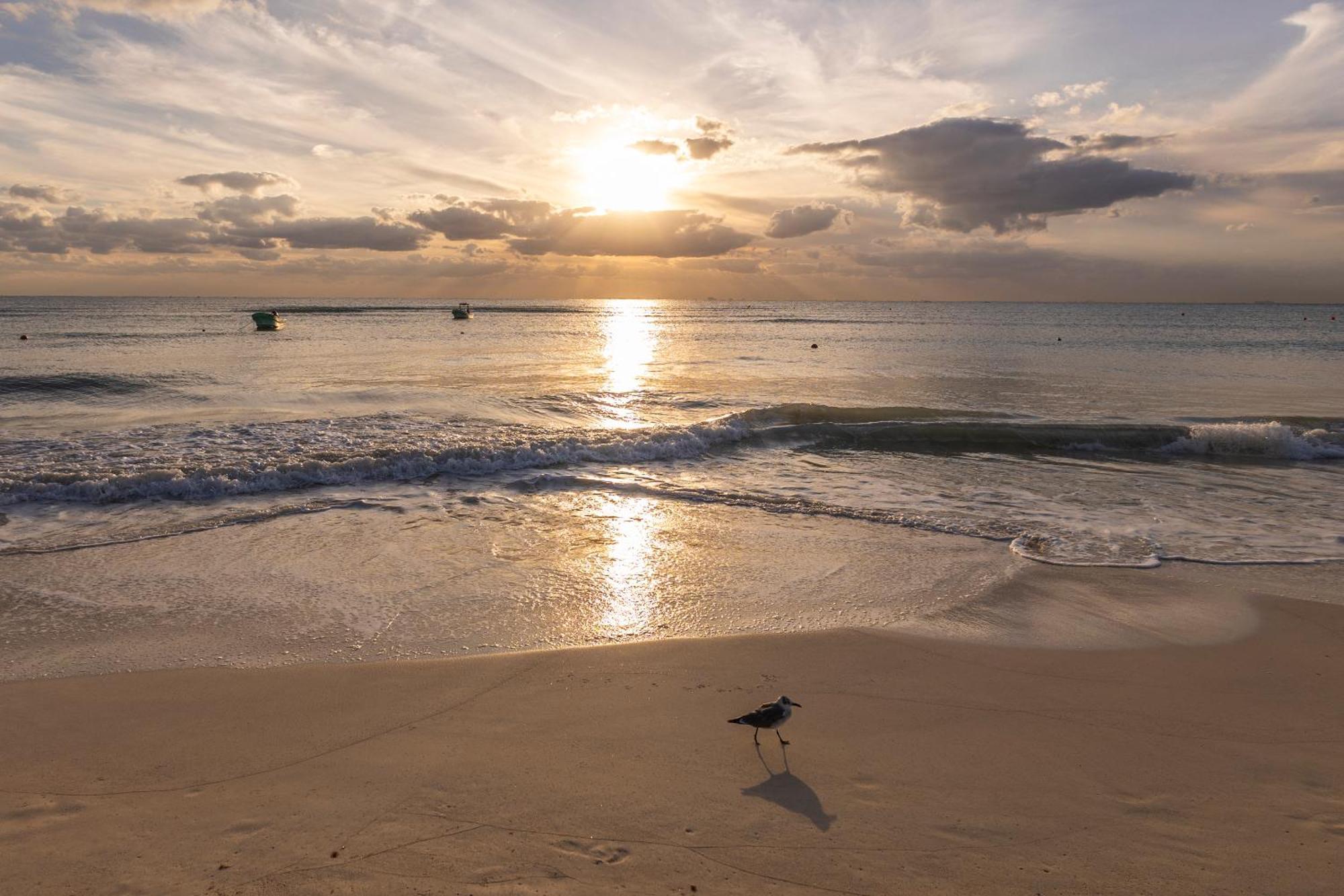 Areia Playa Del Carmen - Beach Front Hotel 外观 照片