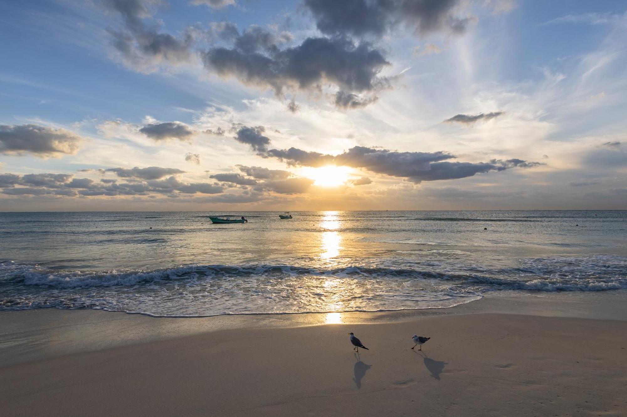 Areia Playa Del Carmen - Beach Front Hotel 外观 照片